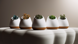 BIOO Lux Lite EN