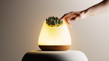 BIOO Lux Lite EN