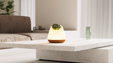 BIOO Lux Lite EN