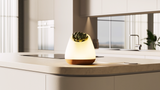 BIOO Lux Lite EN