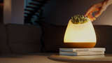 BIOO Lux Lite EN