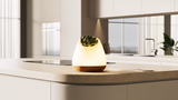 BIOO Lux Premium Smart Plantpot & Lamp