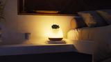 BIOO Lux Premium Smart Plantpot & Lamp